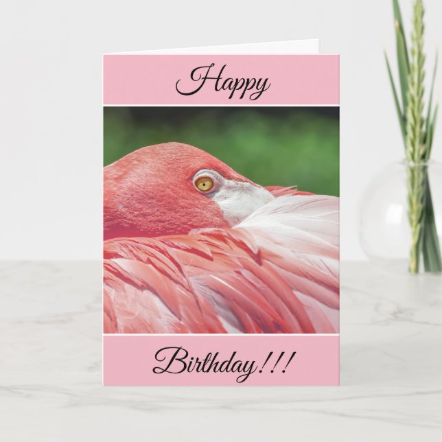 Personalized Happy Birthday Flamingo Card (Front)