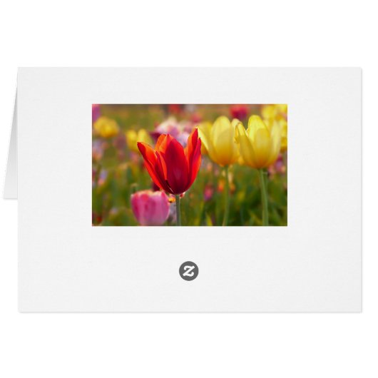 Personalized Happy Birthday Pretty Tulips Card (Back Horizontal)