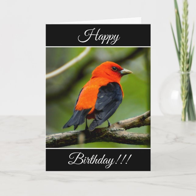 Personalized Happy Birthday Scarlet Tanager Card (Front)