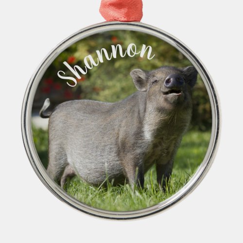 Personalized Happy Pet Mini Pot Bely Pig   Metal Ornament