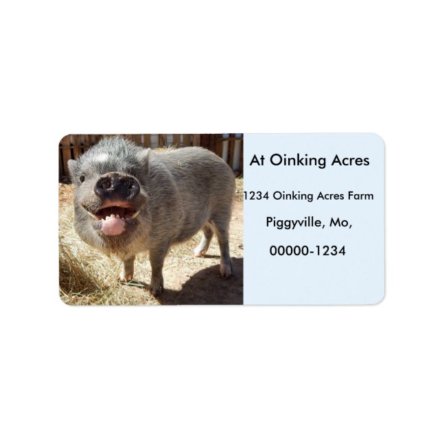 Personalized Happy Smiling Mini Pig Address Labels (Front)
