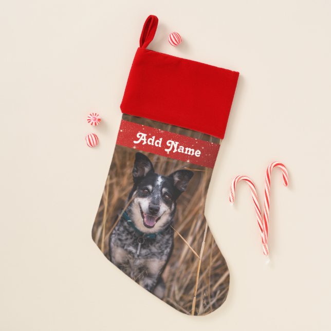 Personalized Heeler Cattle Dog Christmas Stocking (Front)
