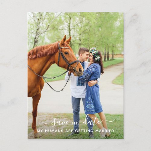 Personalized Horse Photo Pet Wedding Save The Date Announcement Postcard