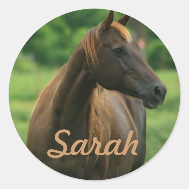 Personalized Horse Stickers (Front)