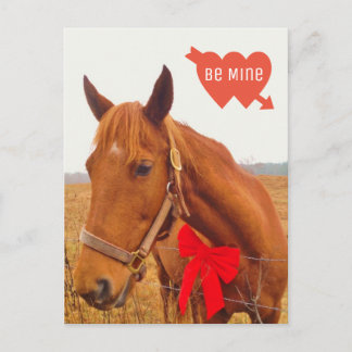 Personalized Horse Valentine with Bow Postcard