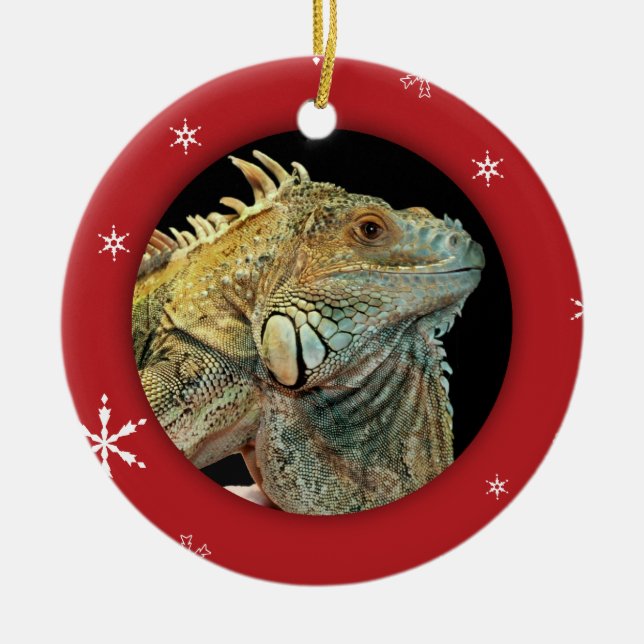Personalized Iguana/Pet Photo Holiday Ceramic Ornament (Front)