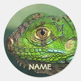 Personalized Iguana Sticker