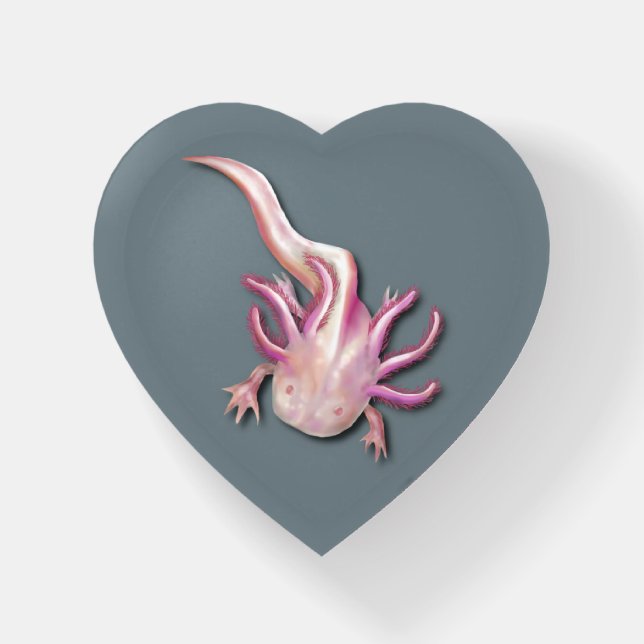 Personalized Illustrated Albino Axolotl Paperweight (Front)