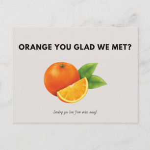 Personalized - Illustrated Oranges Gray Vintage Postcard