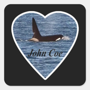 Personalized John Coe Orca Killer Whale  Square Sticker