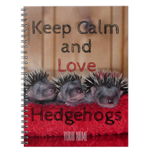 Personalized Keep calm and love hedgehogs Notebook