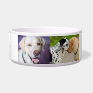 "Personalized Labrador & Dalmatian Dog Bowl