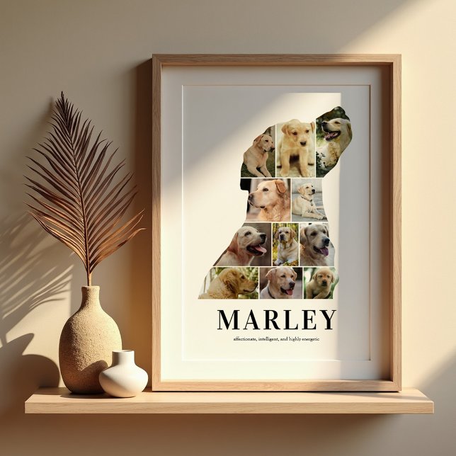Personalized Labrador Photo Collage Poster (Creator Uploaded)
