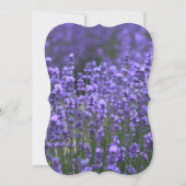 Personalized Lavender Bridal Shower Invite Bracket (Back)