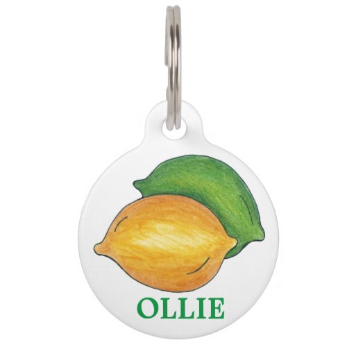 Personalized Lemon Lime Citrus Fruit Dog Pet Tag