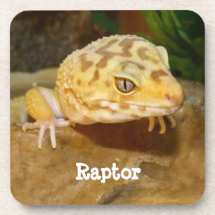 Personalized Leopard Gecko Lizard Beverage Coaster