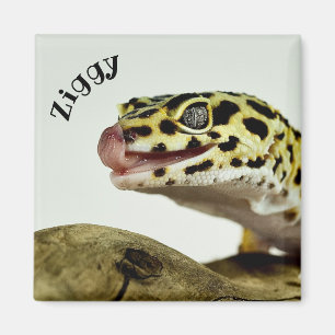Personalized Leopard Gecko Lizard Magnet