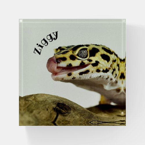 Personalized Leopard Gecko Lizard Paperweight