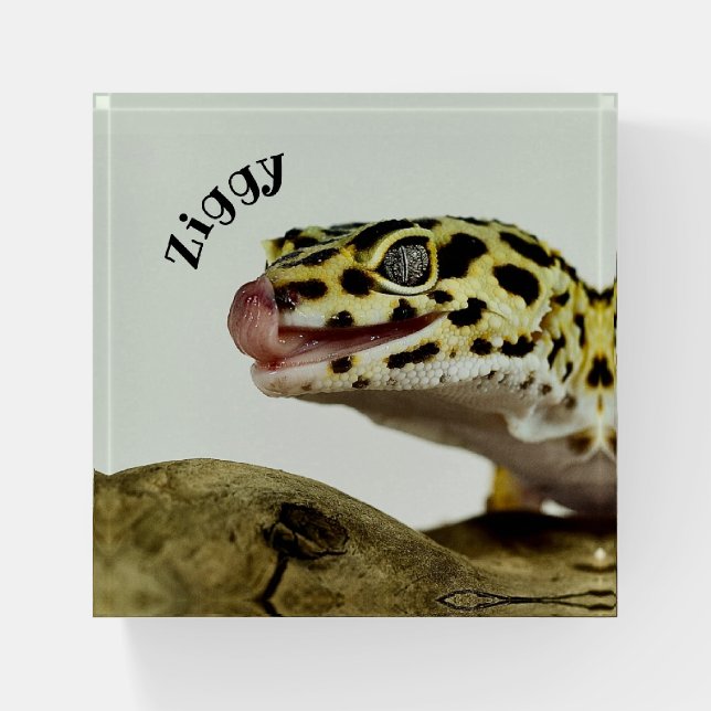 Personalized Leopard Gecko Lizard Paperweight (Front)
