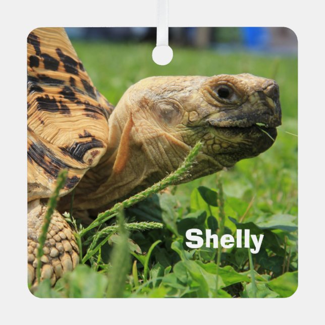 Personalized Leopard Tortoise in the grass Metal Ornament (Front)