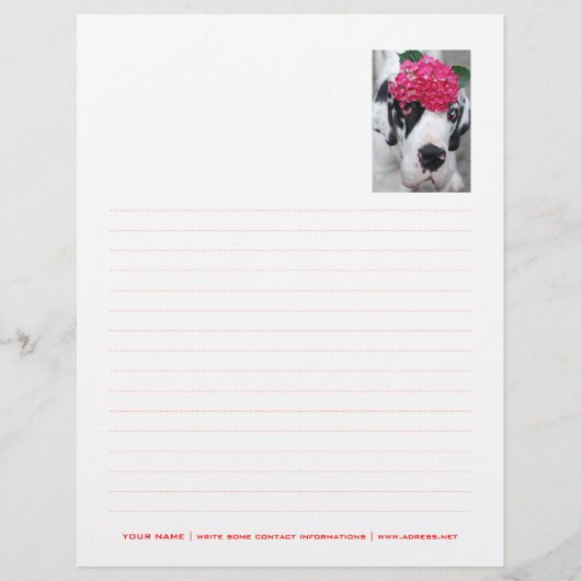 Personalized Letterhead Dotted (Front)