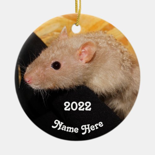 Personalized Lilac Mink Fancy Pet Rat  Ceramic Ornament