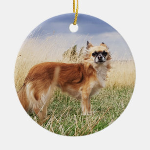 Personalized long haired chihuahua ceramic ornament