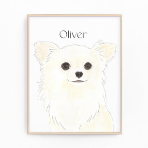 Personalized Long Haired White Cream Chihuahua Photo Print
