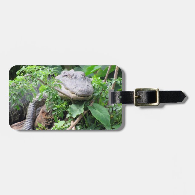 Personalized Luggage Tag - Comfy Gator (Front Horizontal)