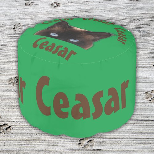 Personalized male Pet Name in Black  Pet Pouf