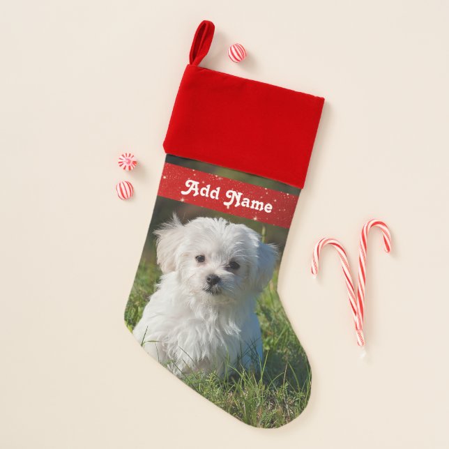 Personalized Maltese Dog Christmas Stocking (Front)