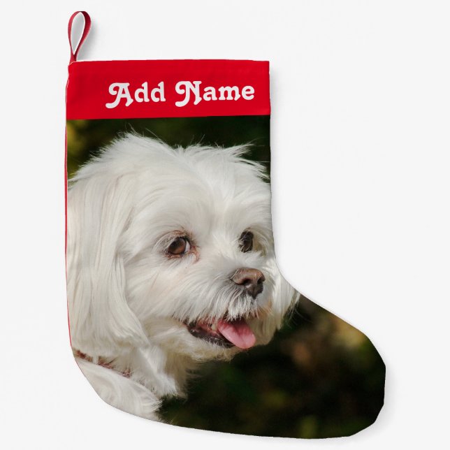 Personalized Maltese Dog Christmas Stocking (Front)