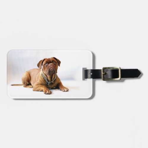 Personalized Mastiff  Dog Photo Luggage Tag