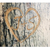 Personalized Memory Tree Bark - Unique Keepsake (Close-Up)