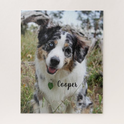 Personalized Merle Australian Shepherd Puppy Jigsaw Puzzle