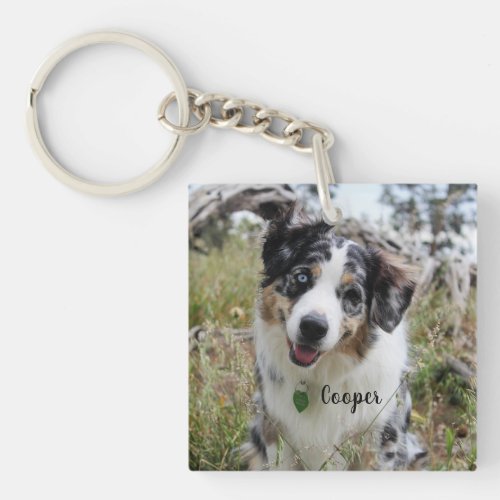 Personalized Merle Australian Shepherd Puppy Keychain