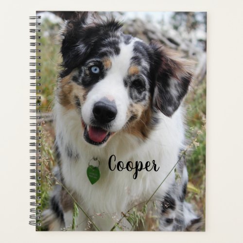 Personalized Merle Australian Shepherd Puppy Planner