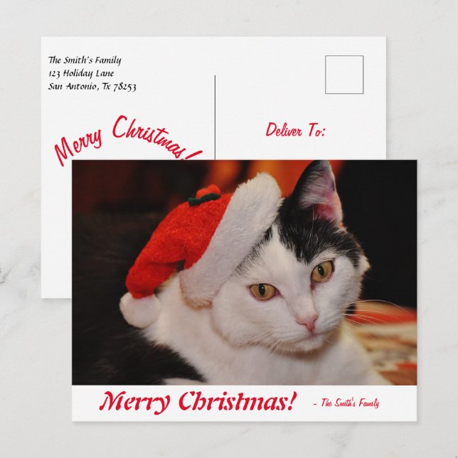 Personalized Merry Christmas Black and White Cat Postcard (Front/Back)