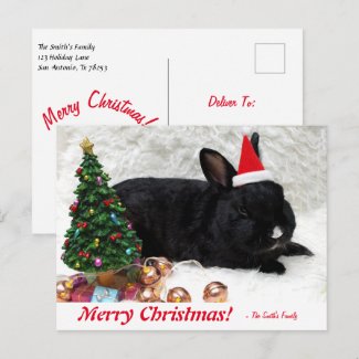 Personalized Merry Christmas Bunny Rabbit Postcard