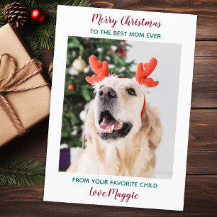 Personalized Merry Christmas Dog Mom Pet Photo Hol Holiday Card