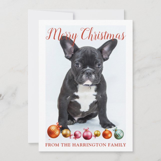 Personalized Merry Christmas French Bulldog Puppy Holiday Card (Front)