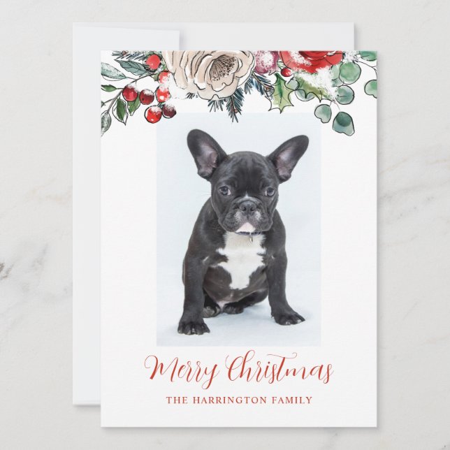 Personalized Merry Christmas French Bulldog Puppy Holiday Card (Front)