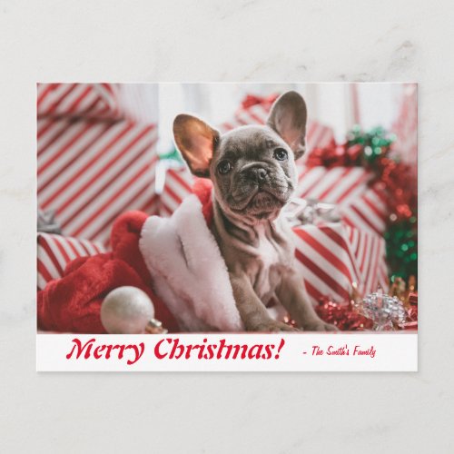 Personalized Merry Christmas French Bulldog Puppy Postcard