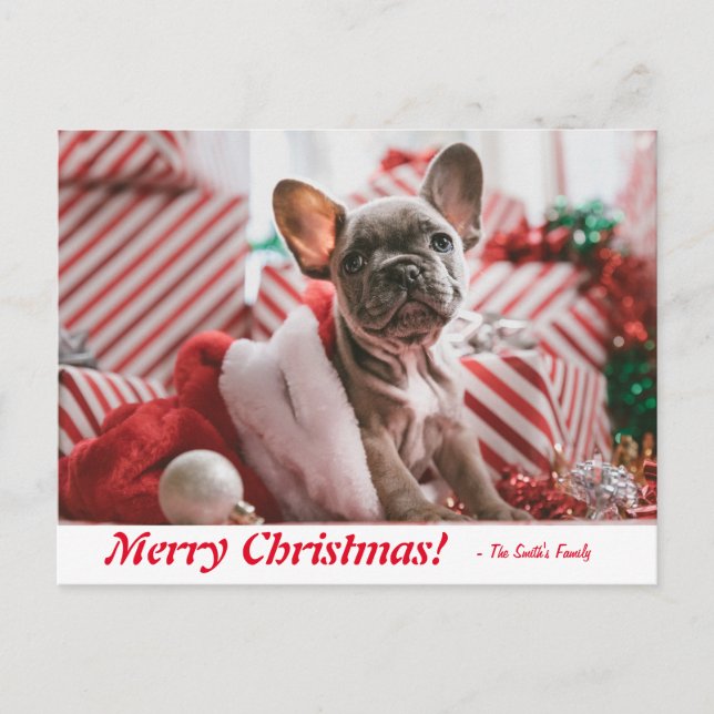 Personalized Merry Christmas French Bulldog Puppy Postcard (Front)