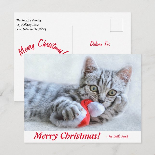 Personalized Merry Christmas Kitten with Santa Hat Postcard (Front/Back)