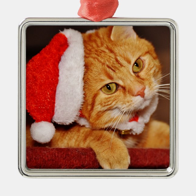 Personalized Merry Christmas Orange Tabby Cat Metal Ornament (Front)