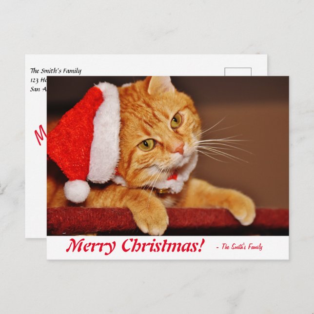 Personalized Merry Christmas Orange Tabby Cat Post Postcard (Front/Back)