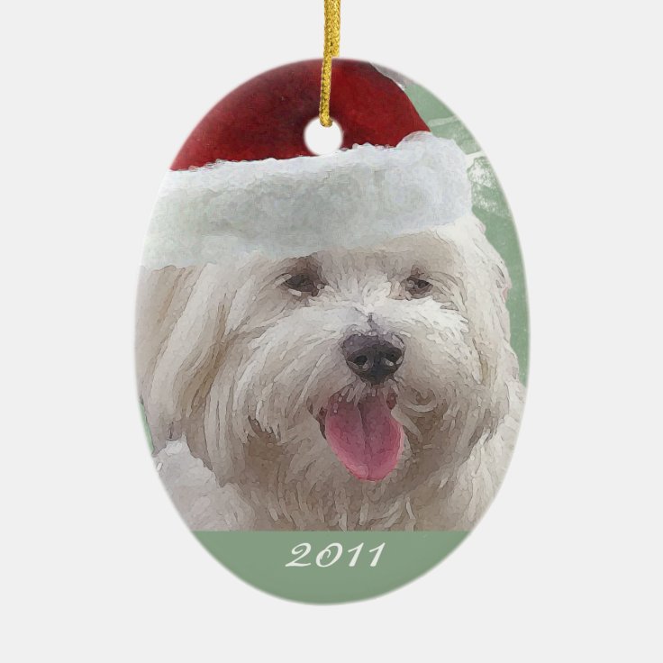 Personalized Merry Maltese Christmas Ornament Zazzle