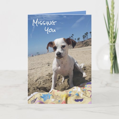 Personalized Missing You Dog Greeting Card