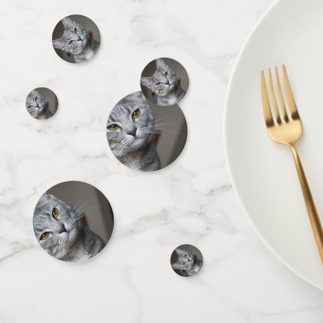 Personalized Modern Cat Photo Confetti (Group)